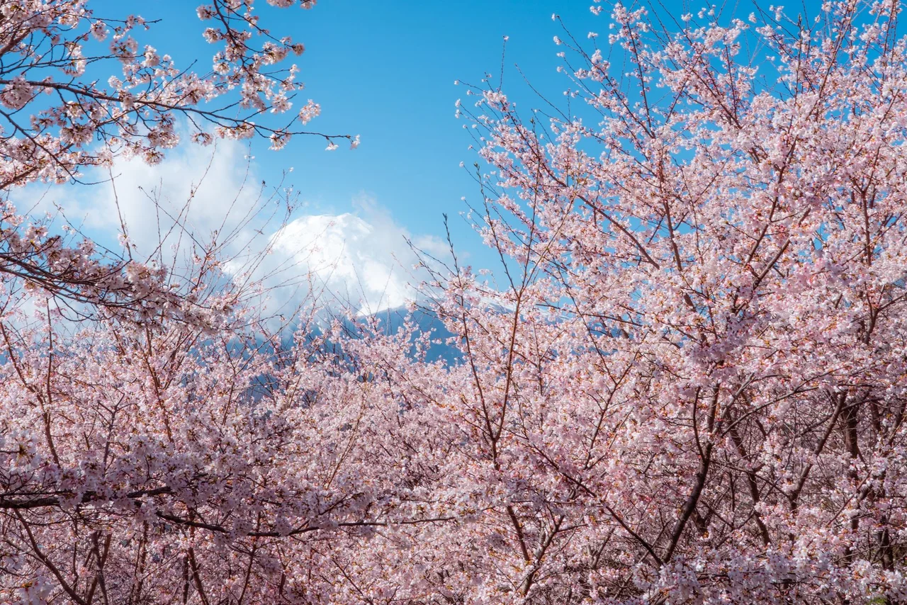 Japan — scenic travel view
