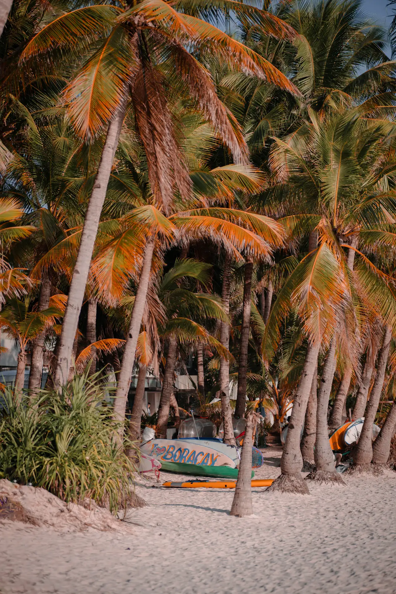 Philippines — scenic travel view