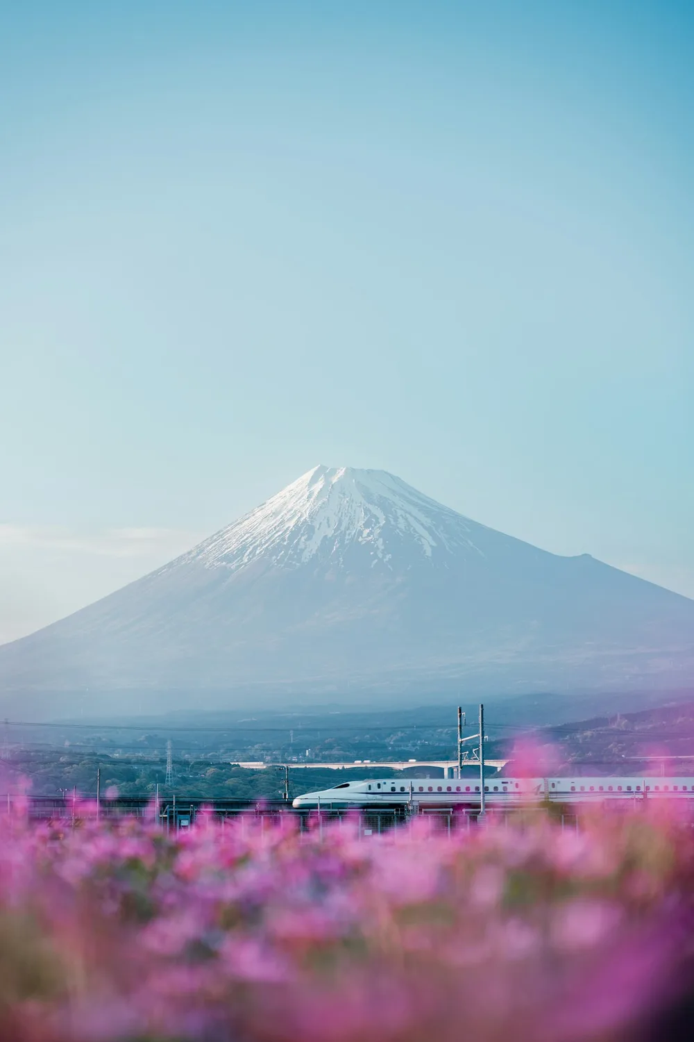 Shinkansen bullet train passing Mount Fuji